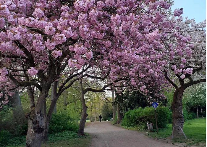 Pensionszimmer Melina Pensionat Lübeck