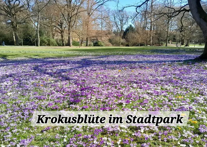 Pensionszimmer Melina Lübeck